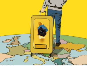MigrationSolutions Migration Agent Adelaide