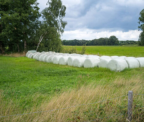 net wrap