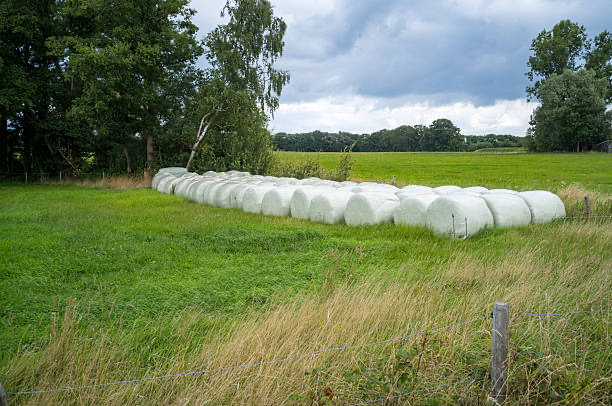 net wrap