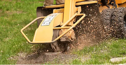 stump removal Adelaide Hills