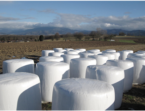 silage plastic